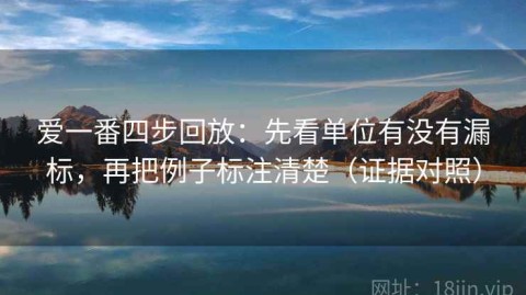 爱一番四步回放：先看单位有没有漏标，再把例子标注清楚（证据对照）