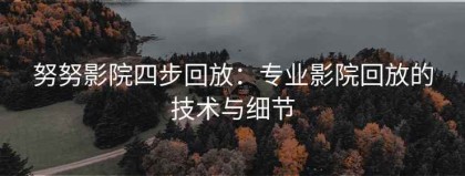 努努影院四步回放：专业影院回放的技术与细节