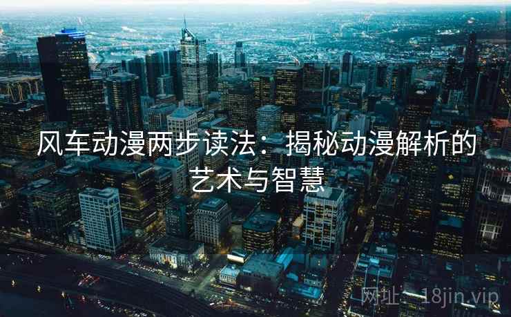风车动漫两步读法：揭秘动漫解析的艺术与智慧